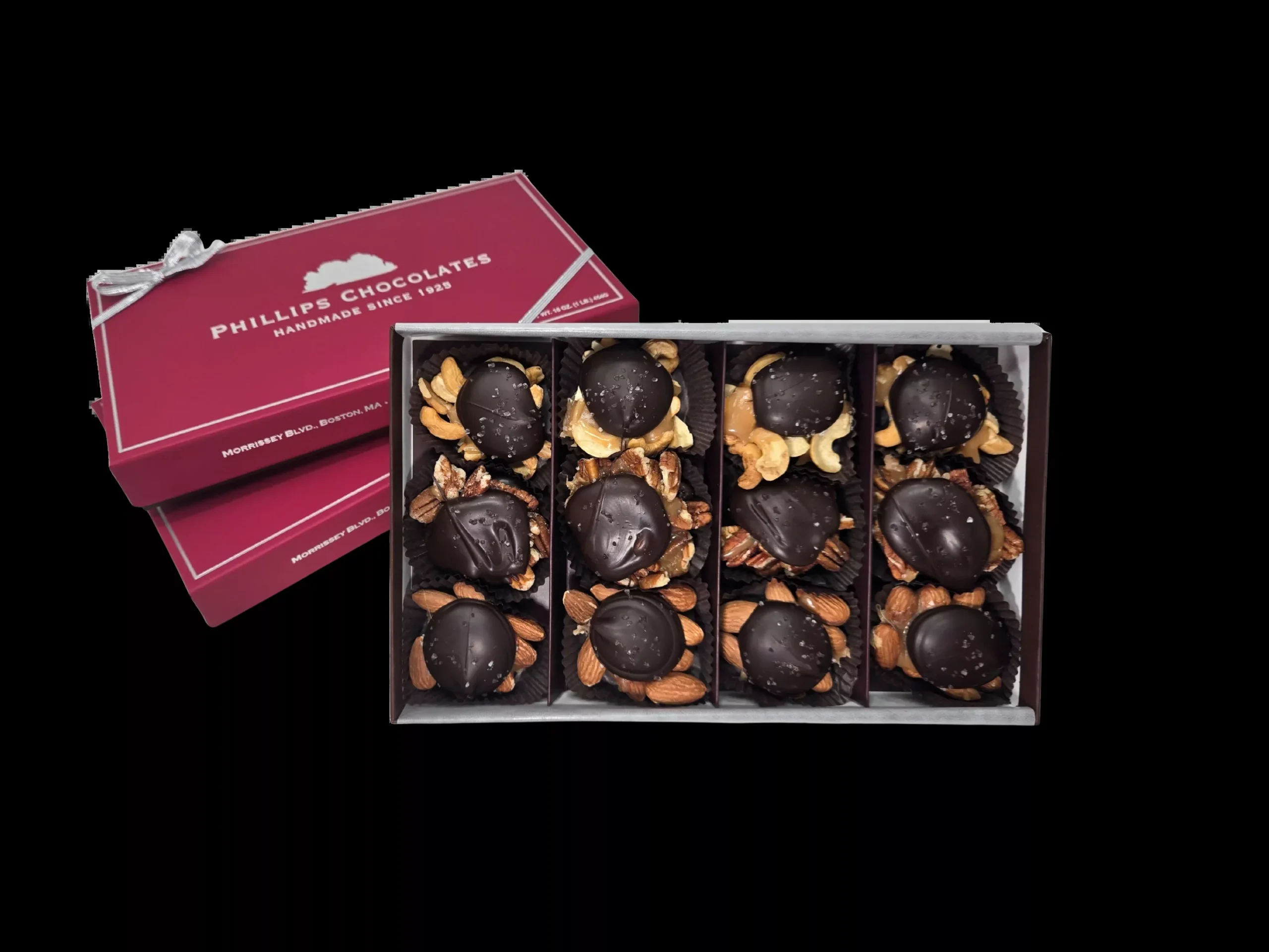 12 pc - SEA SALT TURTLES -dark