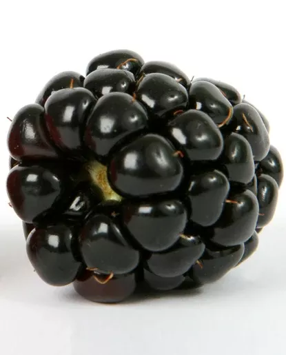 25X Black Raspberry Flavor - Water Soluble