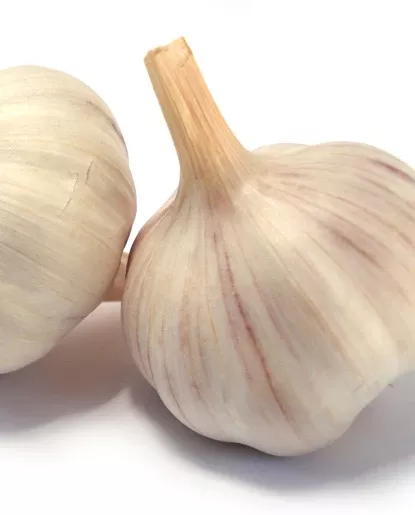 25X Garlic Flavor - Oil Soluble