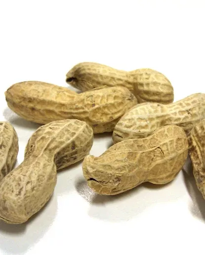 25X Peanut Butter Flavor - Oil Soluble