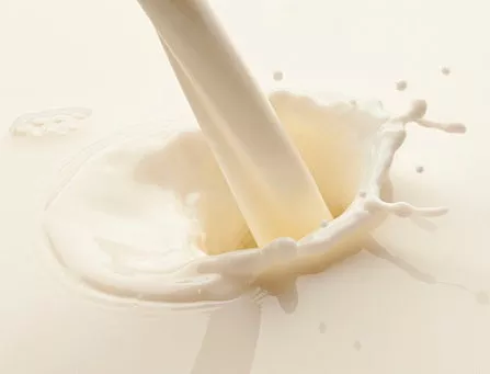 25X Sweet Cream Flavor - Water Soluble