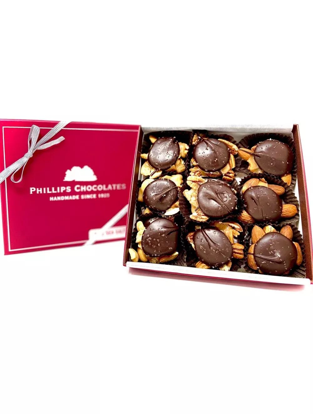 9 pc - SEA SALT TURTLES - dark