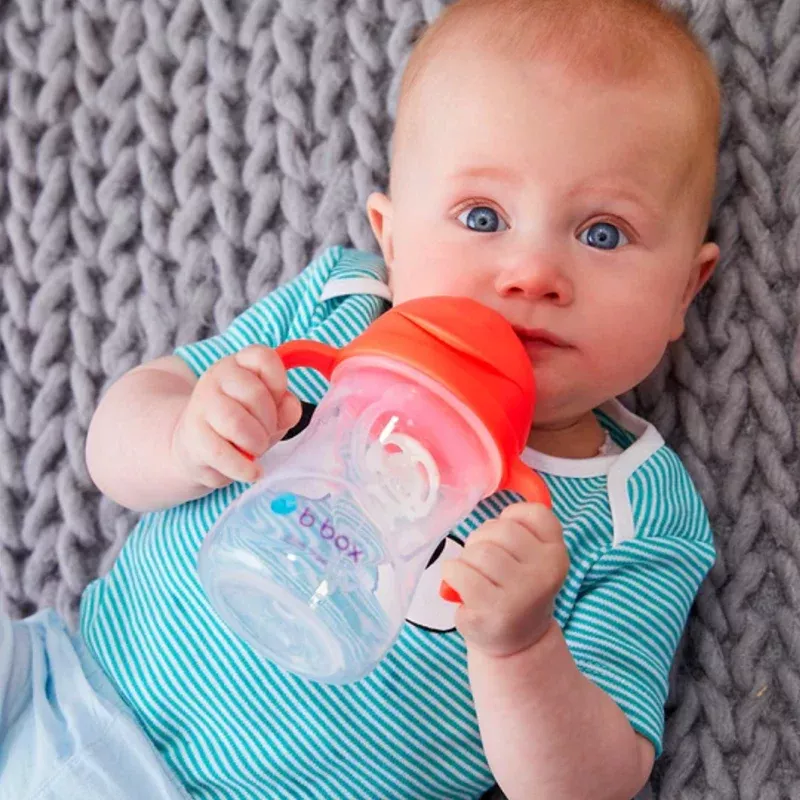 B.Box Leakproof Sippy Cup V2, 240ml