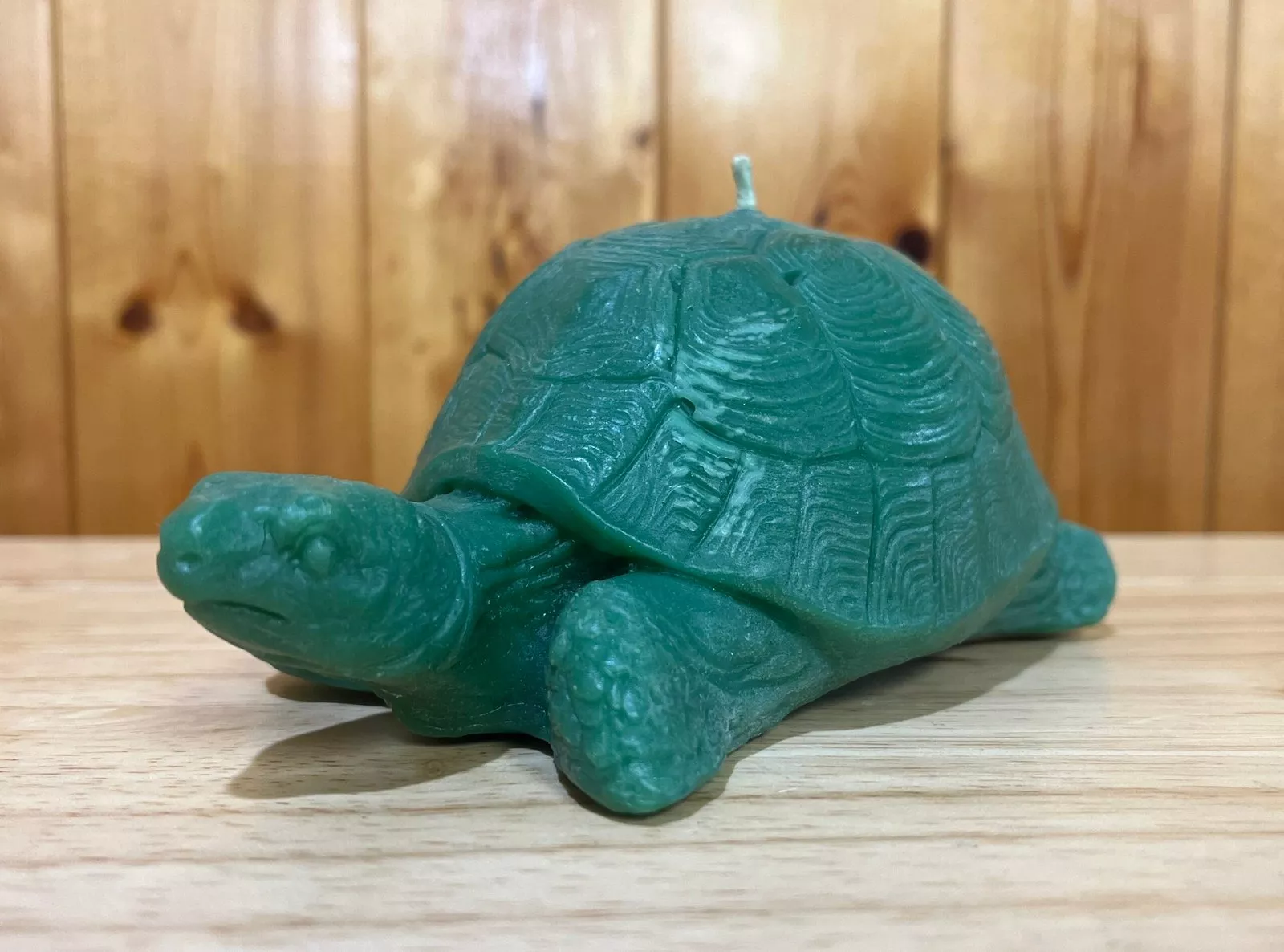 Beeswax Large Turtle Candle