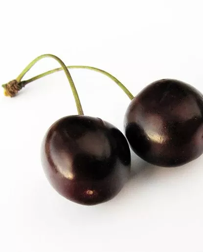 Black Cherry Extract - Water Soluble