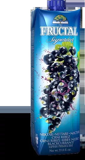 Black Currant Nectar (fructal) 1L