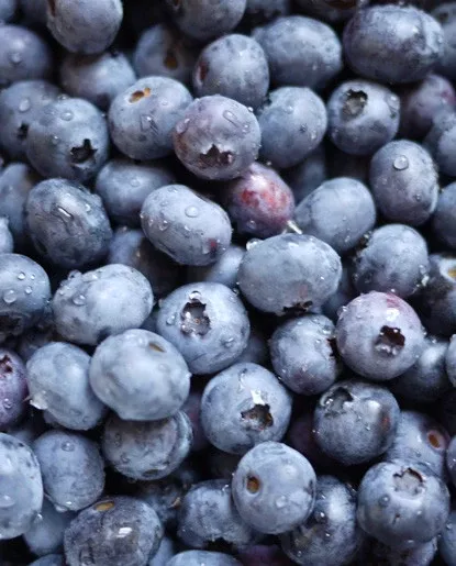Blueberry Flavor - Water Soluble