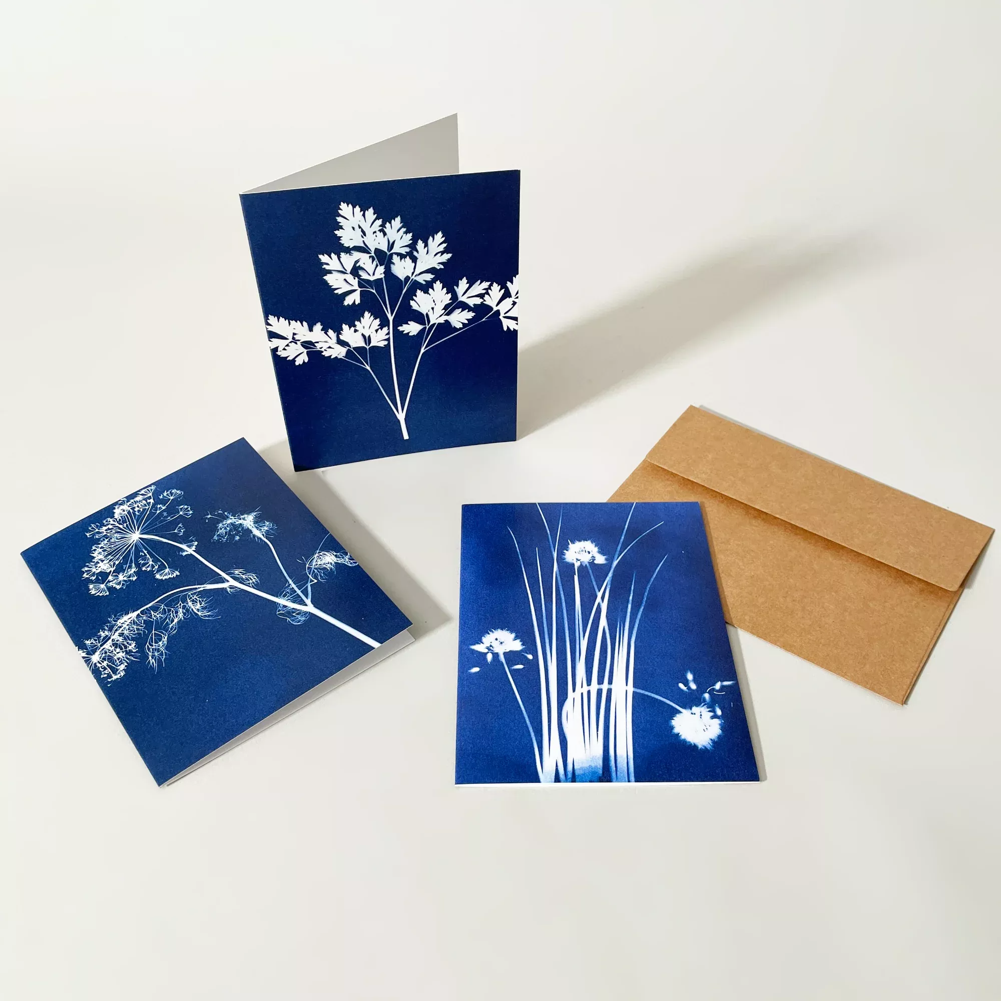 Botanical Cyanotype Card