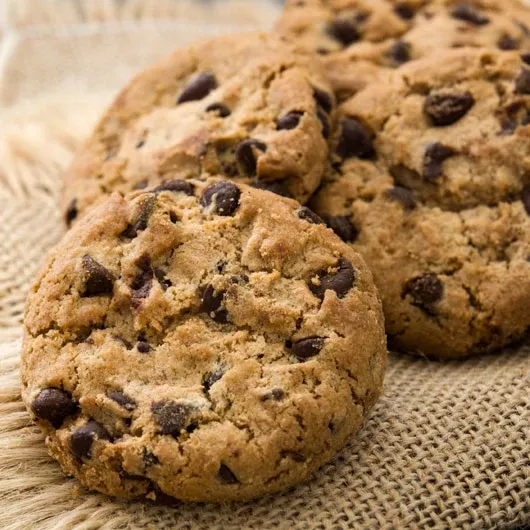 Box of Two Dozen Chocolate Chip Gourmets