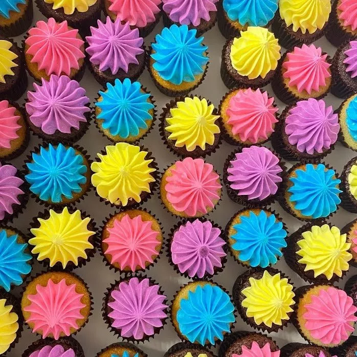 Coloured Icing Mini Cupcakes — Cupcake Sweeties