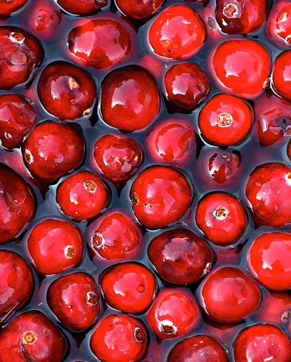 Cranberry Flavor - Water Soluble