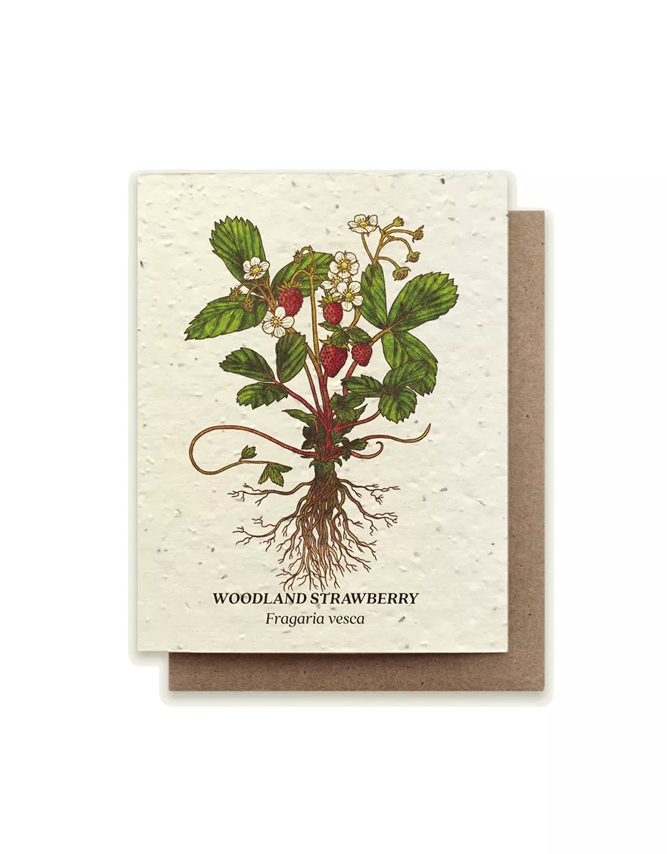 Felt Potted Plant Strawberry