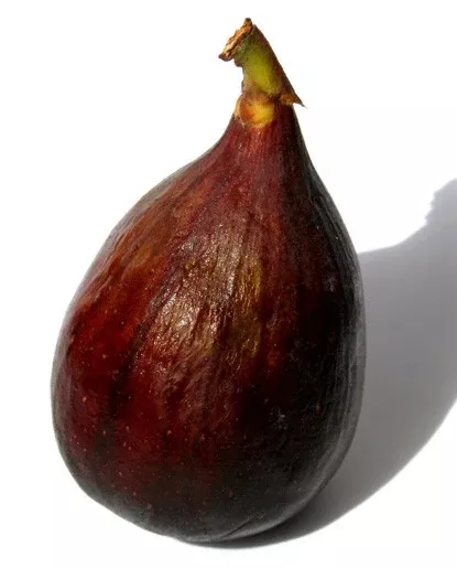 Fig Flavor - Water Soluble