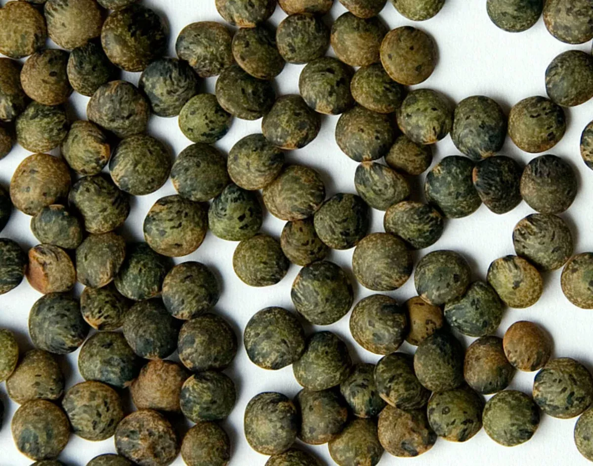 French Green Lentils (Montana) Dried - Bag