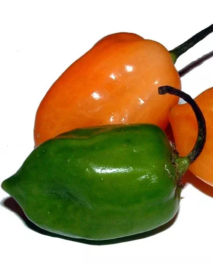 Habanero Flavor - Oil Soluble