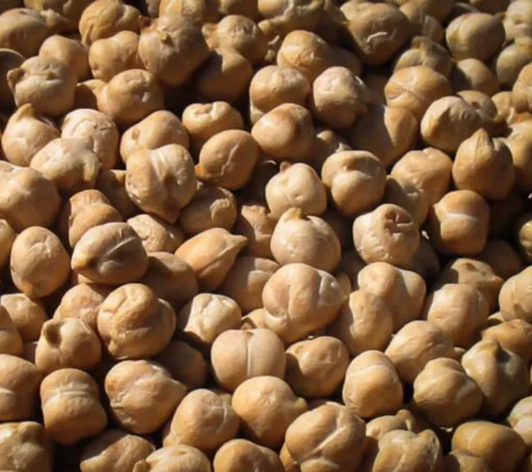 Heirloom Garbanzo Beans (California) Dried - Pack