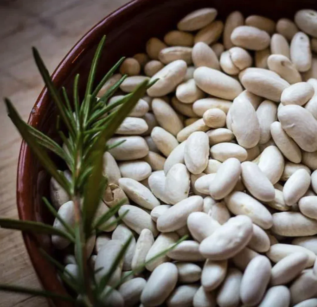 Heirloom Marcella Cannellini Beans (California) Dried - Pack