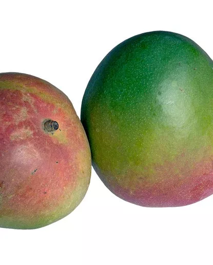 Mango Flavor - Water Soluble