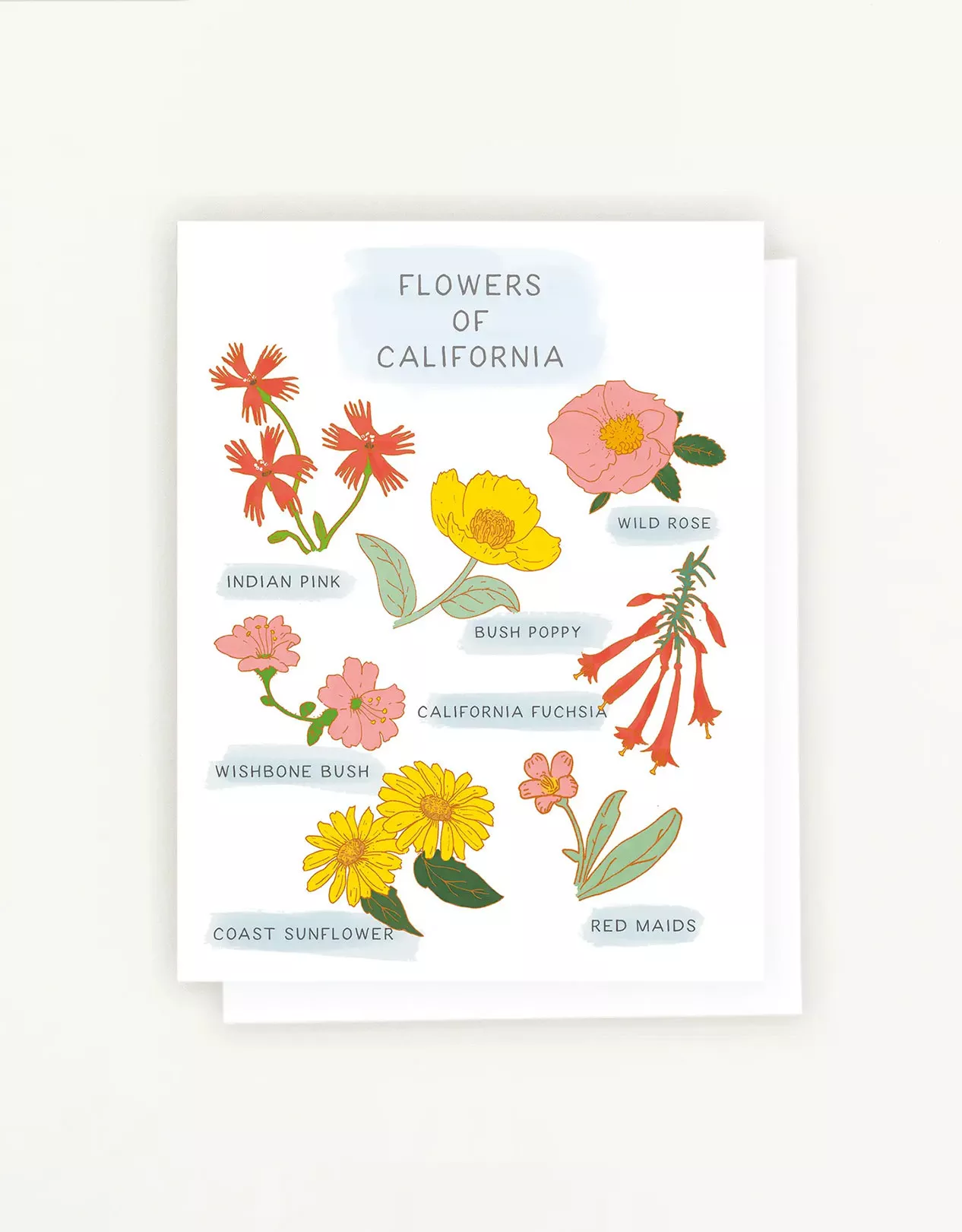 Matilija Poppy Blue Card