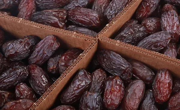 Medjool Dates (Large) 11lb Box