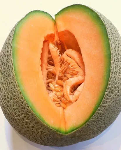 Melon Extract - WaterSoluble