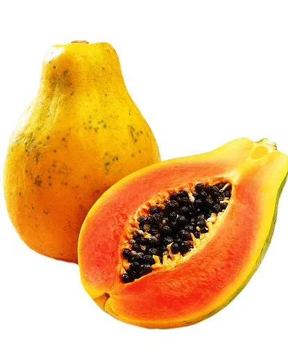 Papaya Extract - WaterSoluble