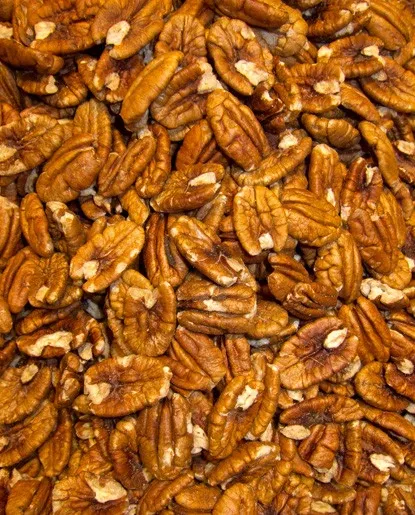 Pecan Extract - Water Soluble