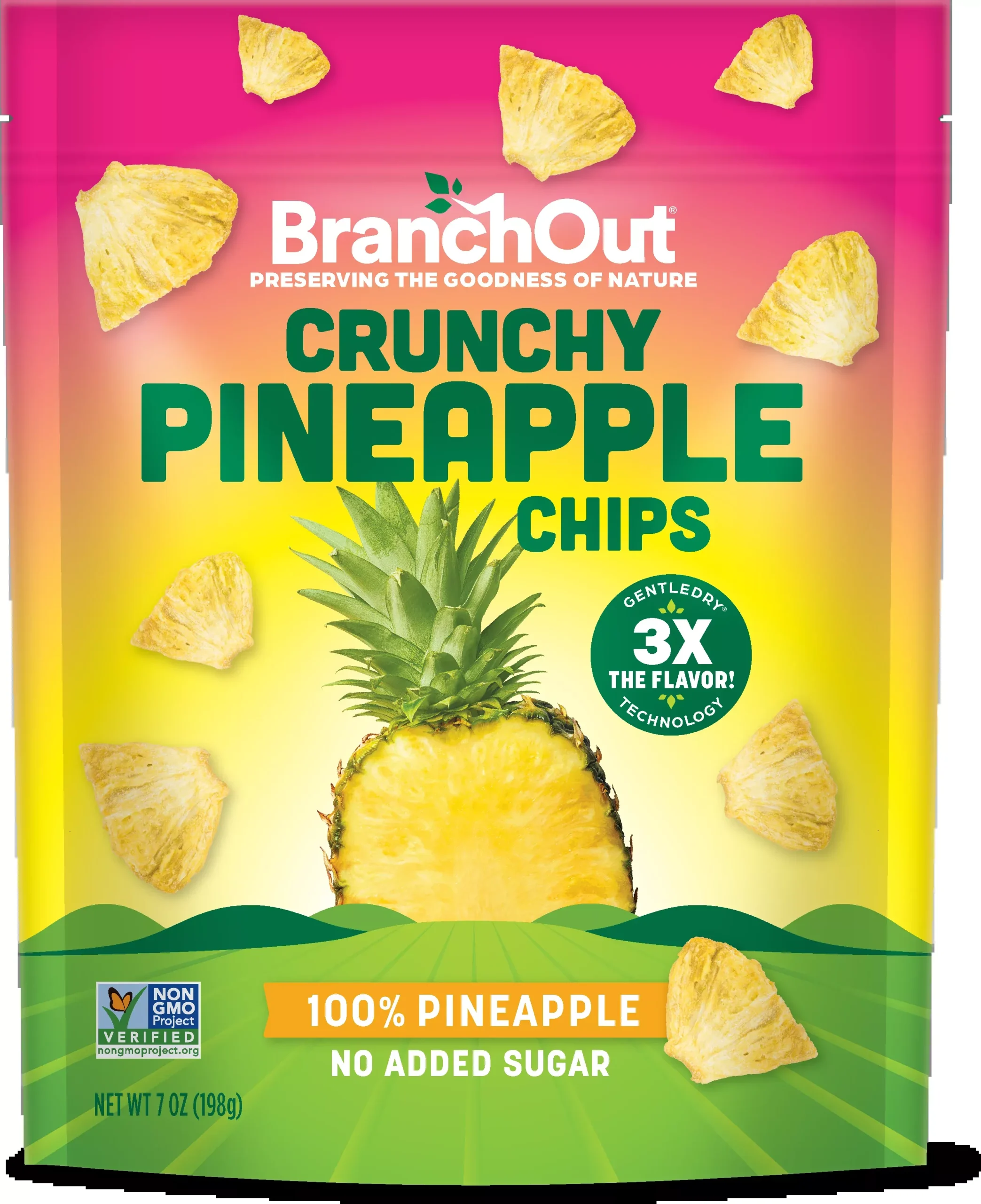 Pineapple Chips