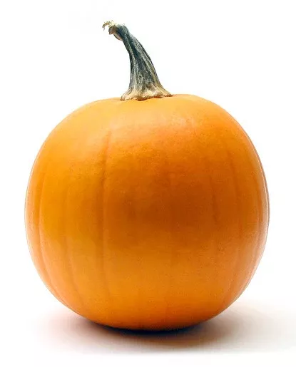 Pumpkin Extract - Oil Soluble