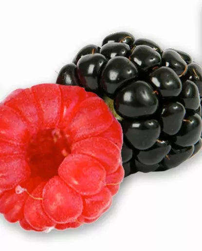 Raspberry Flavor - Water Soluble