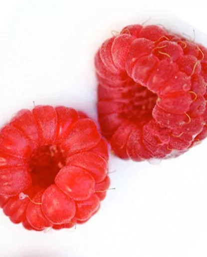 Red Raspberry Flavor - Water Soluble