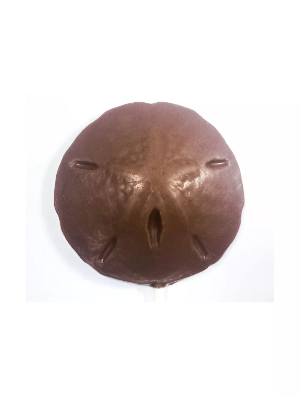 SAND DOLLAR POP - MILK
