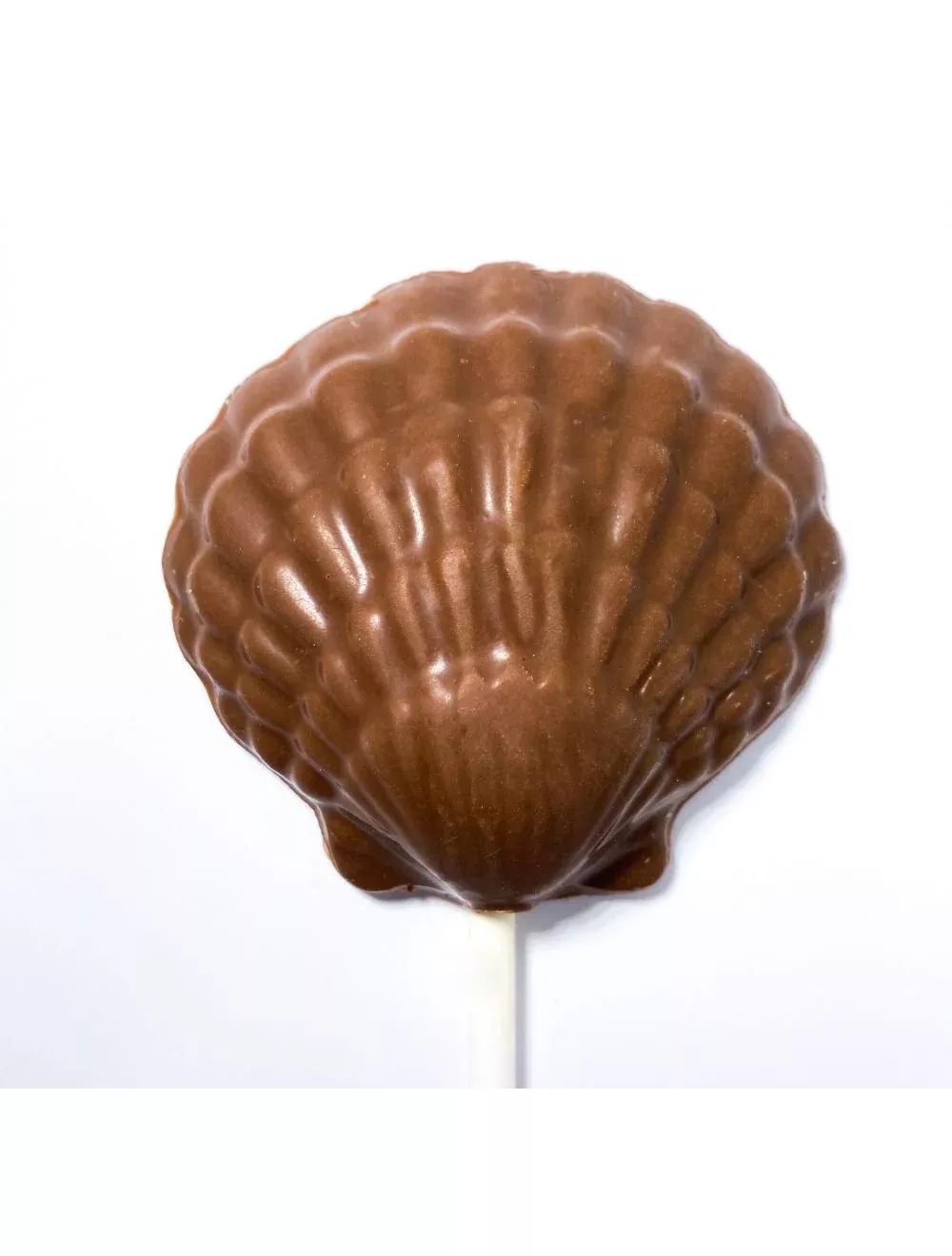 SEASHELL POP - MILK
