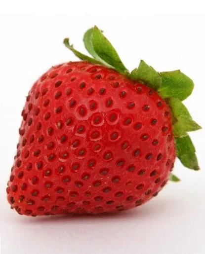 Strawberry, Ripe Extract - Water Soluble