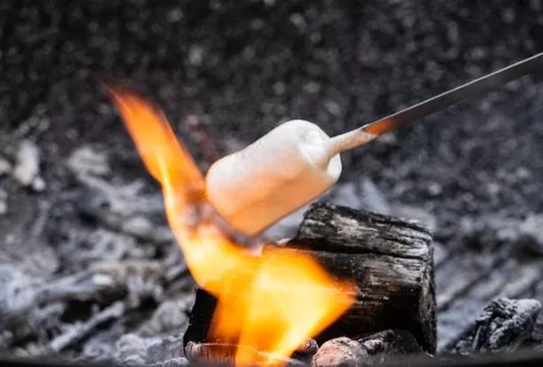 Toasted Marshmallow Extract - Water Soluble