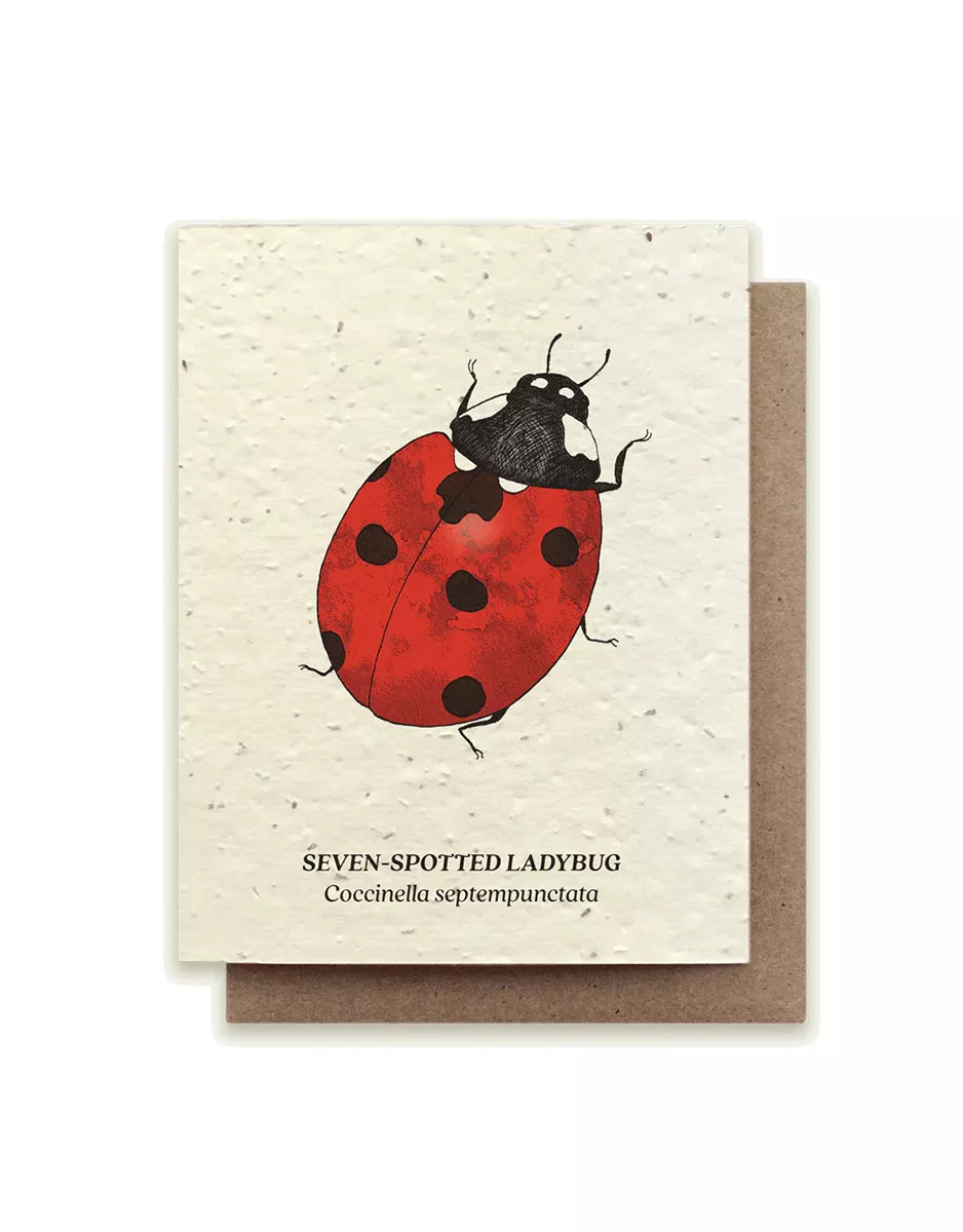 Women's Ladybug Socks - Protect Pollinator