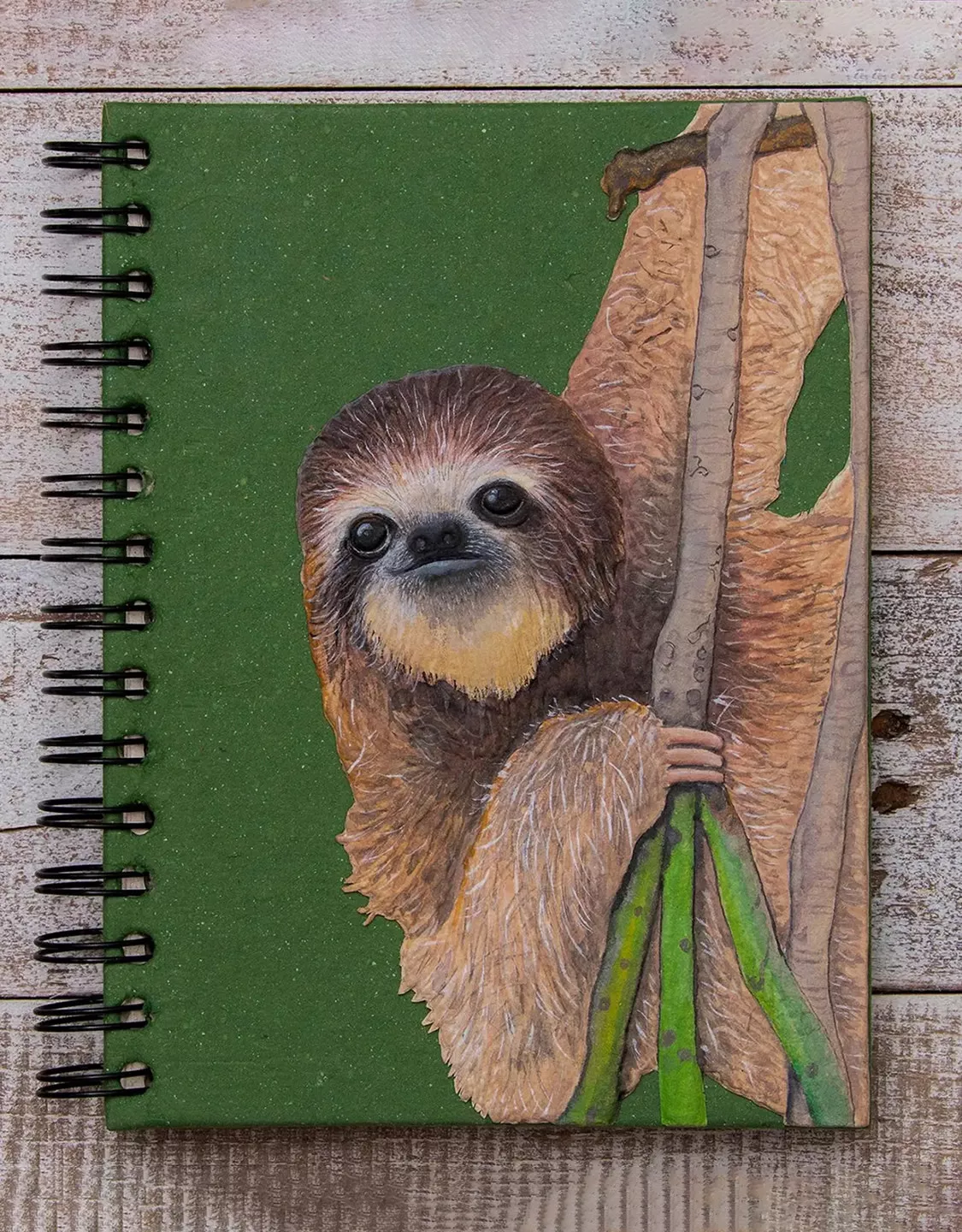 Women's Socks That Protect Sloths